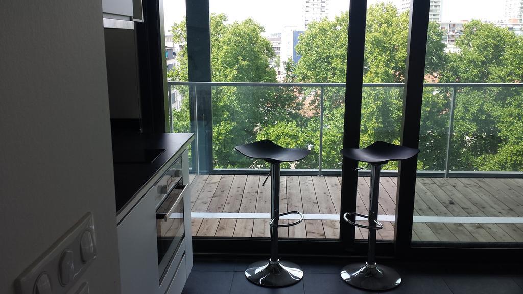 Studio Avec Terrace Docks Страсбург Экстерьер фото